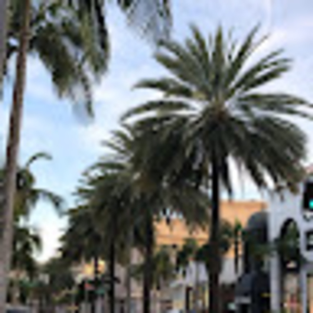 Meet your Posher, Lizbeth